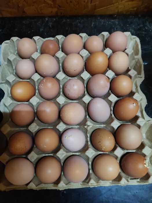 Продам яйца домашние крупные