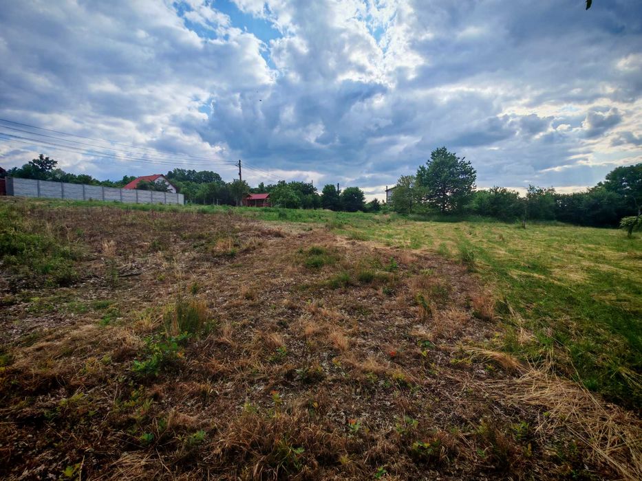 Tern intravilan Baia Sprie/Str Rozelor