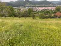 Vand teren intravilan 31 arii