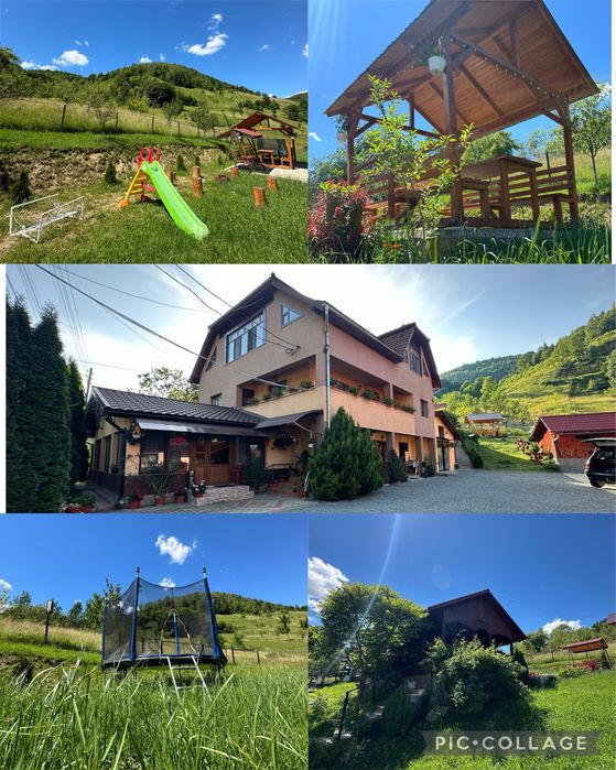 Cabana de inchiriat- Pensiunea Apuseni