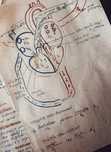 Meditatii Biologie pentru admitere Medicina UMF sau BAC
