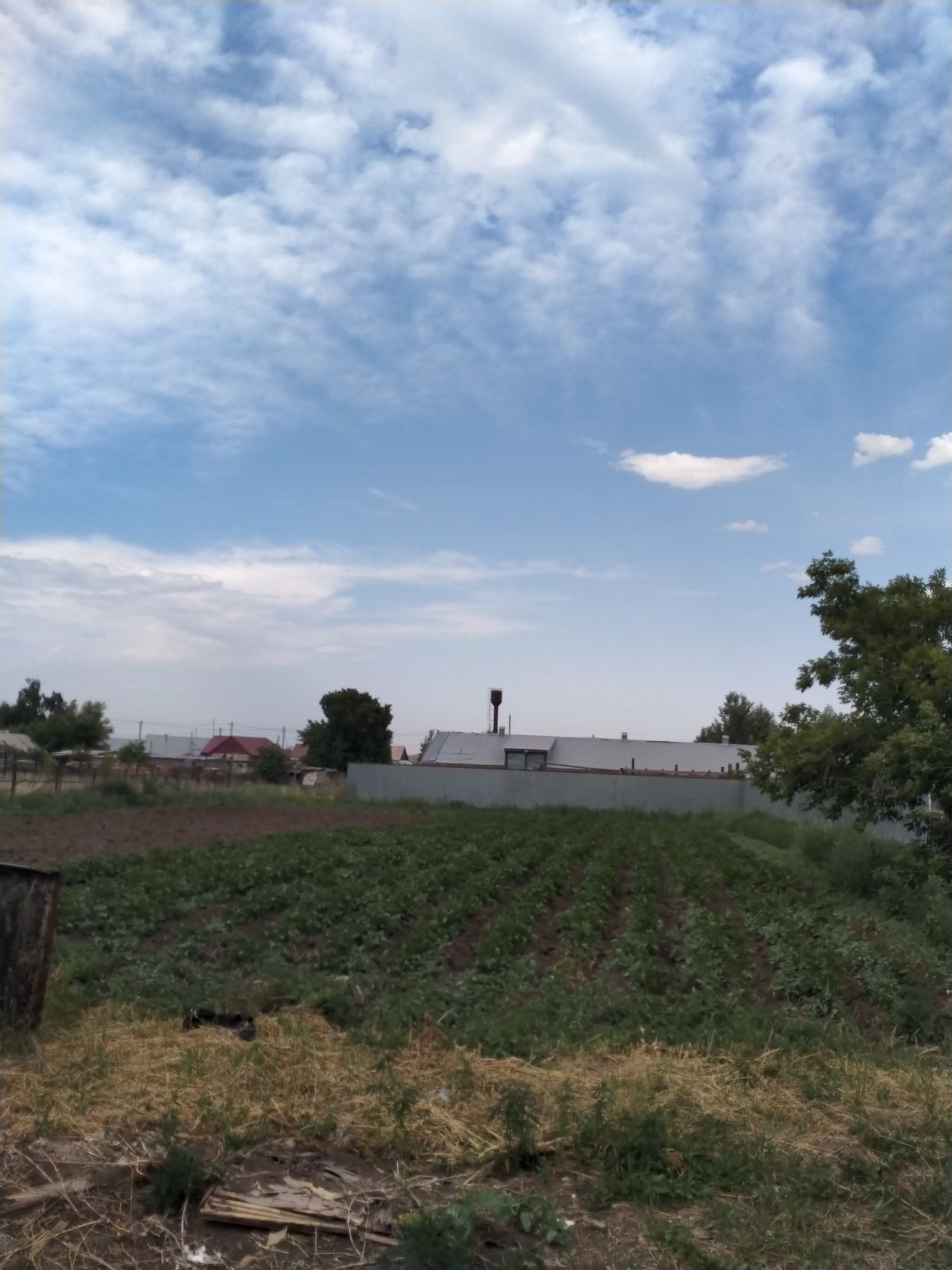 Продам дом аршалынский район