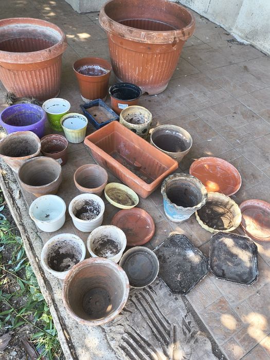 Много саксии употребявани