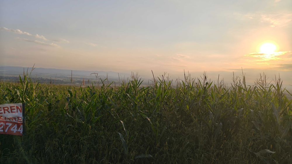 Teren intravilan 5700 mp, Vadu Moldovei