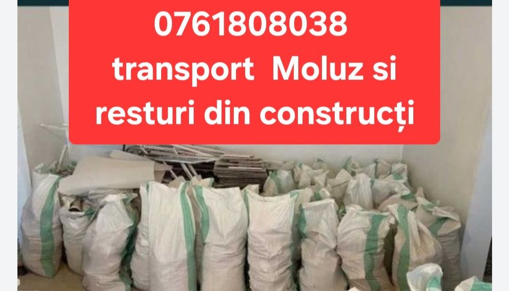 Execut debarasării mobila moloz la saci etc