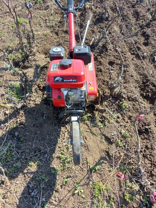 Motocultor Ruris Zimbru