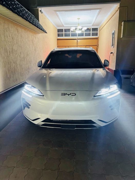 BYD Champion sotiladi