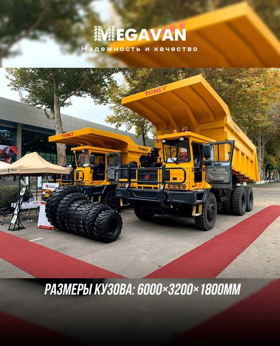 Самосвал Shaanxi Tonly markali TONLY TL875B karyer samosvali