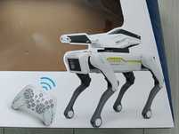 Robot caine intelient