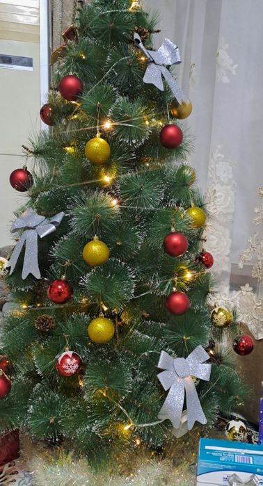 Yashil archa razmeri õrtancha