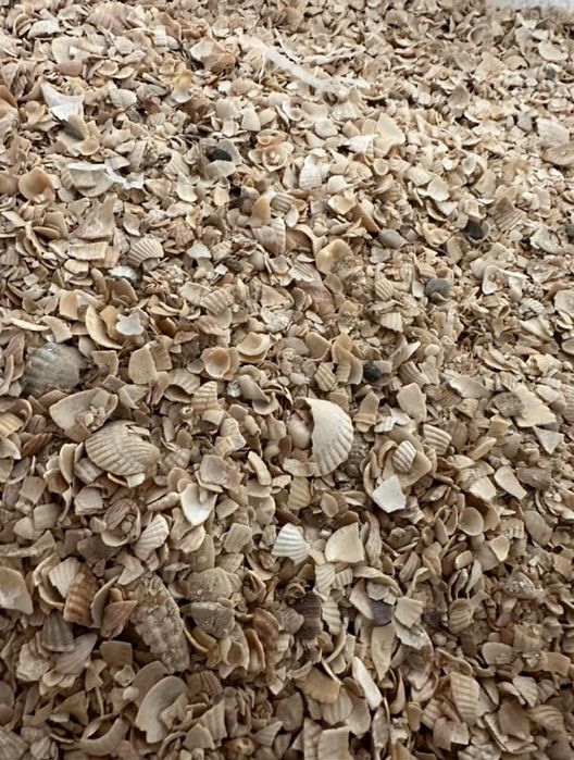 Кормовые добавки - Ракушка , кукуруза , горох , жмых , кальции