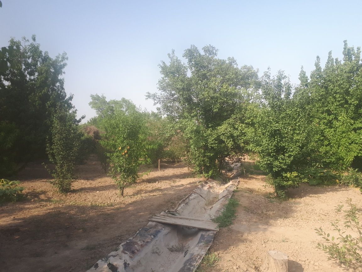 Продется Дача с домиком в районе Сабалак не далеко от Селена аква