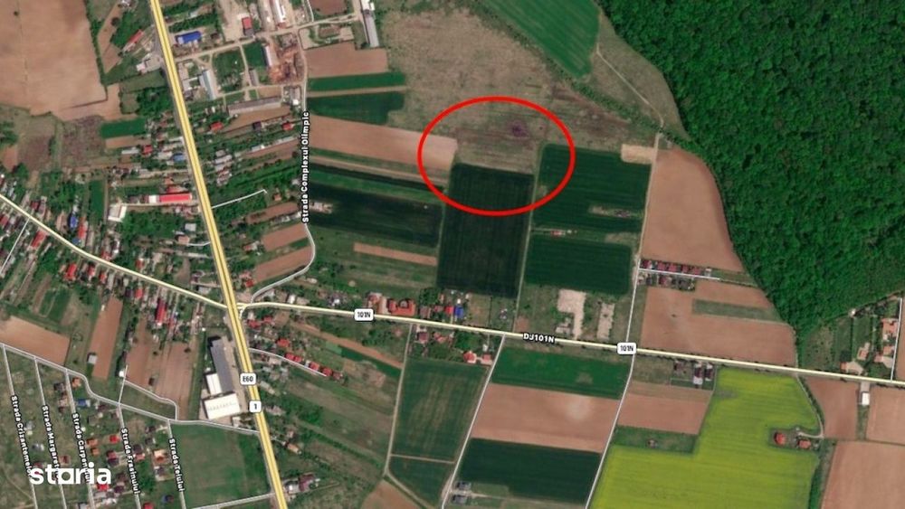 Teren Ciolpani langa padure si DN1