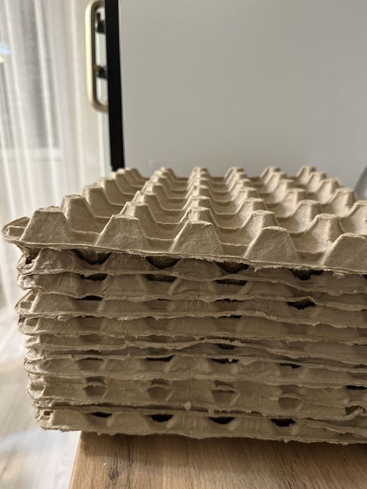 Отдам лотки для яиц