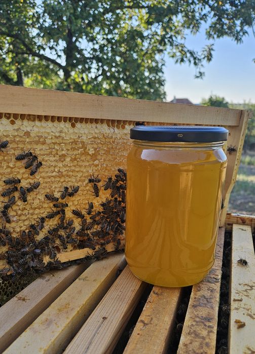 Пчелен мед - букет гр. Шумен