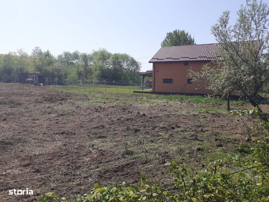 Tautii Magheraus - Teren intravilan ( 2 parcele disponibile )