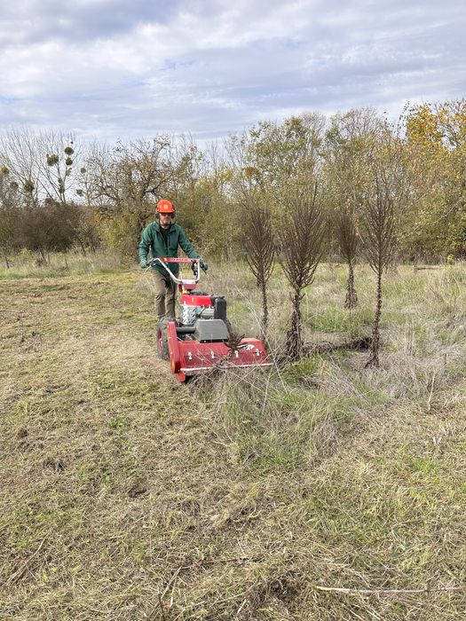 Почистване на изоставени парцели/дворове/запустели терени/Мулчеране