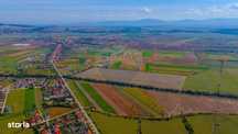 Teren intravilan 10,000 mp Bod