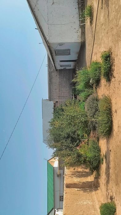 Yangi Zarafshon 4kv 133uy