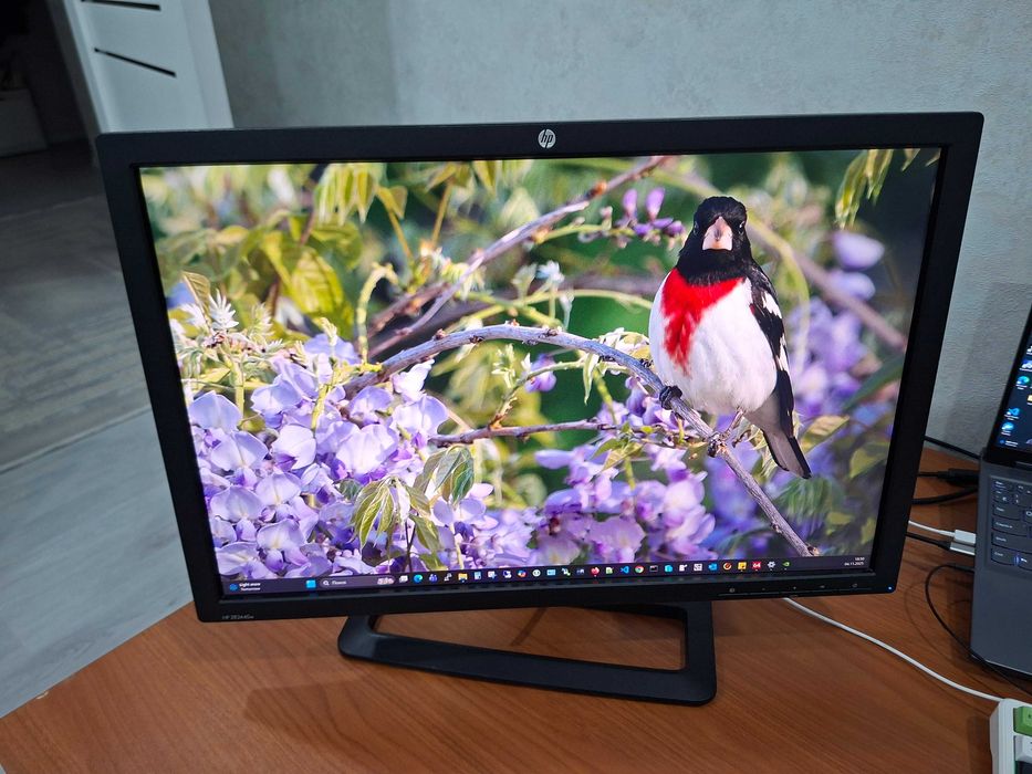 Монитор HP 24' IPS