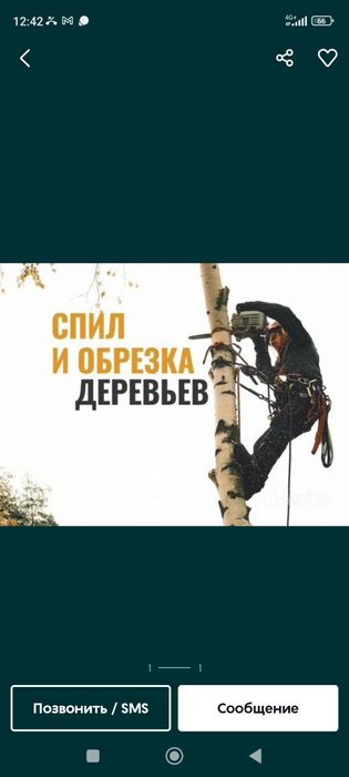 Спилим дерево любой сложности