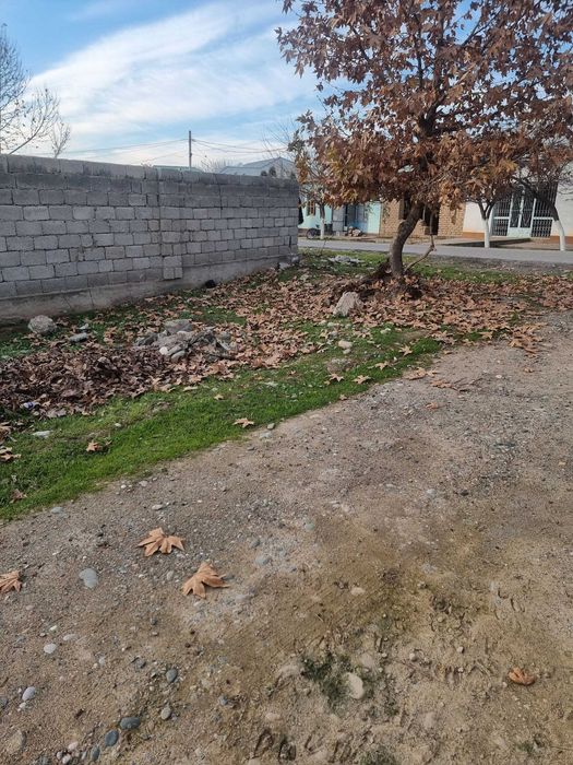 Sohibqiron mahallasi binosi ro'parasida yer uchastkasi