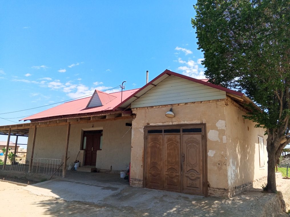 Сотувда ферма мажмуаси — Хоразм, Янгиярик туманида!

- 5000 м² ферма м