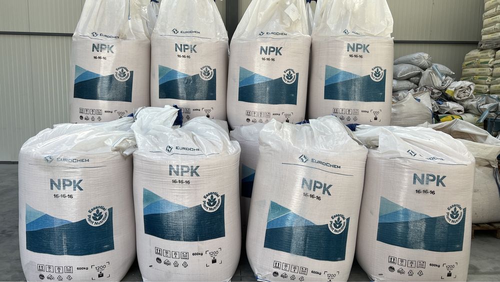 Oferta seminte porumb si floare