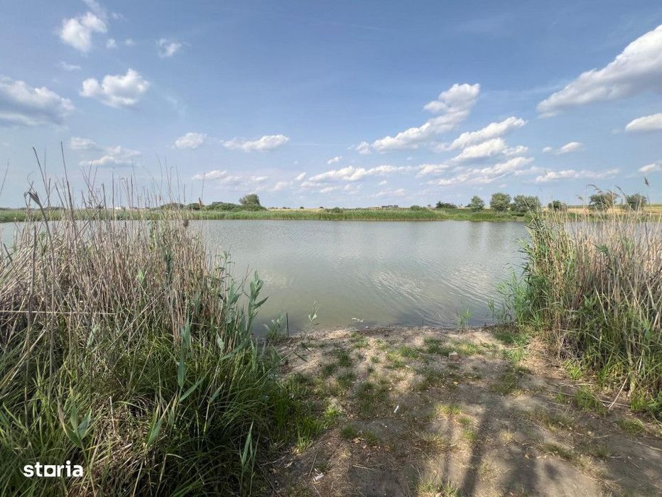 Teren Berceni La Lacuri | Oportunitate Investitie |