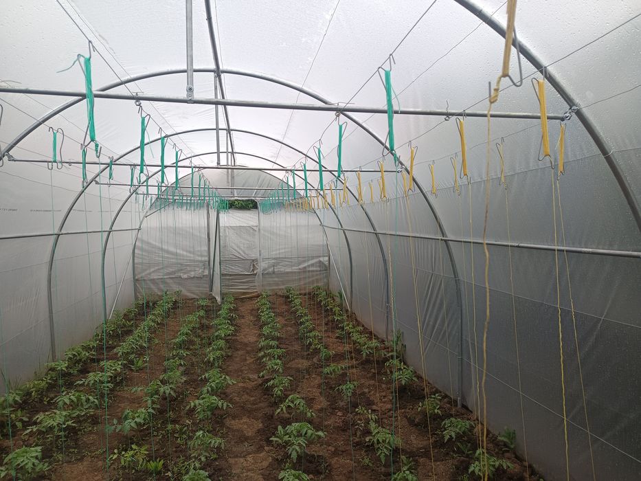 Cârlig de prindere pt plante