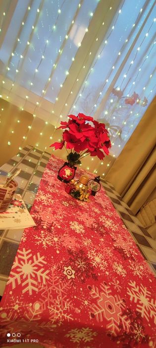 Коледни тишлайфери , възглавнички и други