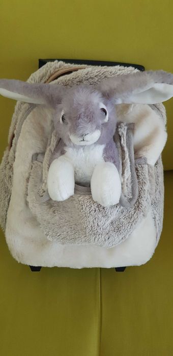 Ghiozdanel cu roti ptr.prescolari