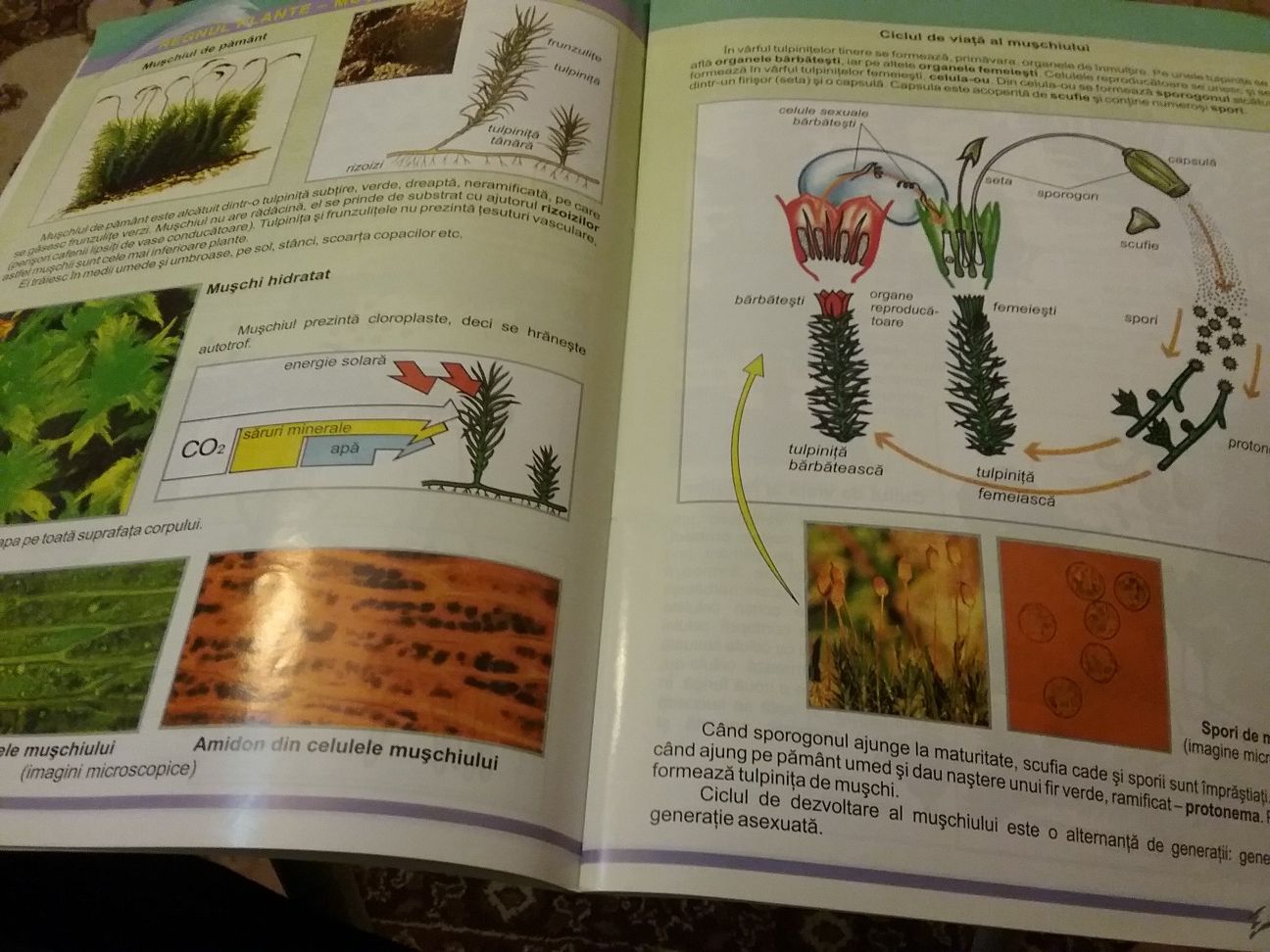 Atlas de biologie - regnul monera, protista, ciuperci, plante