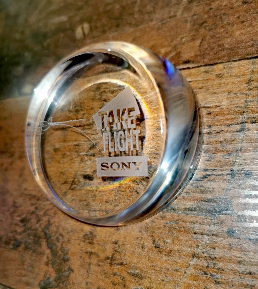 SONY Сони пресапие кристално SONY Crystal Art Glass  Take Flight декор