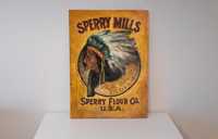 Sac pictat  Sperry Mills, American Indian din perioada WWI