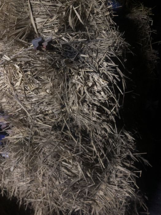 Сено по 1.100 смесь с клевером