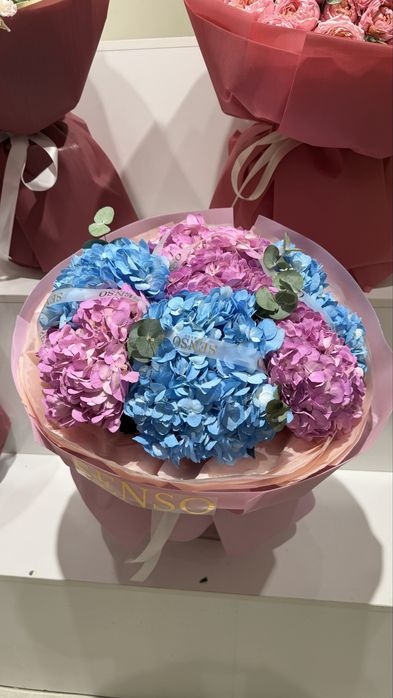 Большие королевские гортензии