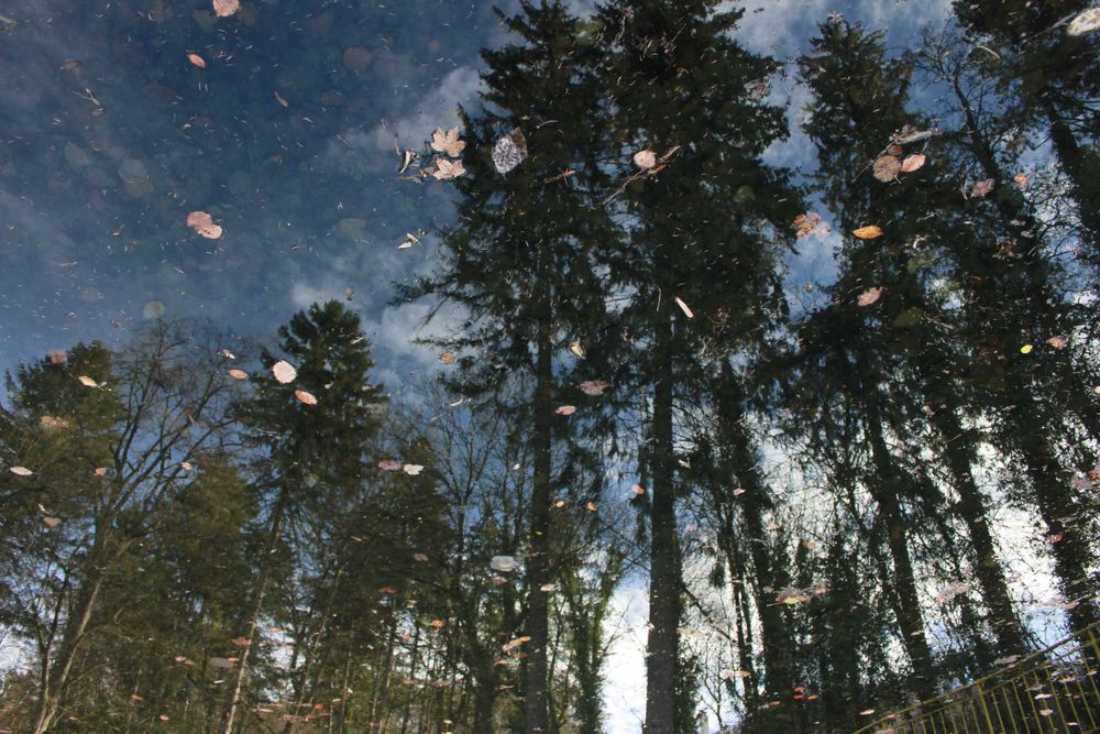 Безплатна фотосесия във Варна, квартал Аспарухово