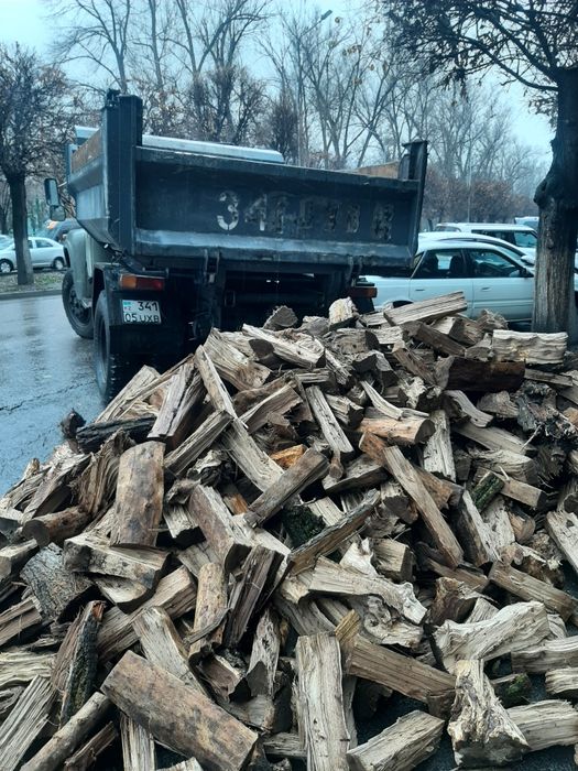 Дрова уголь шубаркуль каражара карагач колотые