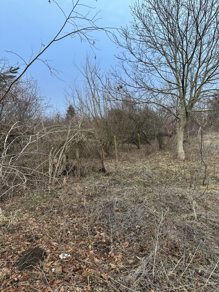 Продава се Парцел в Търговище, Боровец - 1050 кв.м за 8 €/кв.м - Снимка #6
