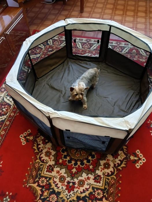 Манеж сборный для собачки