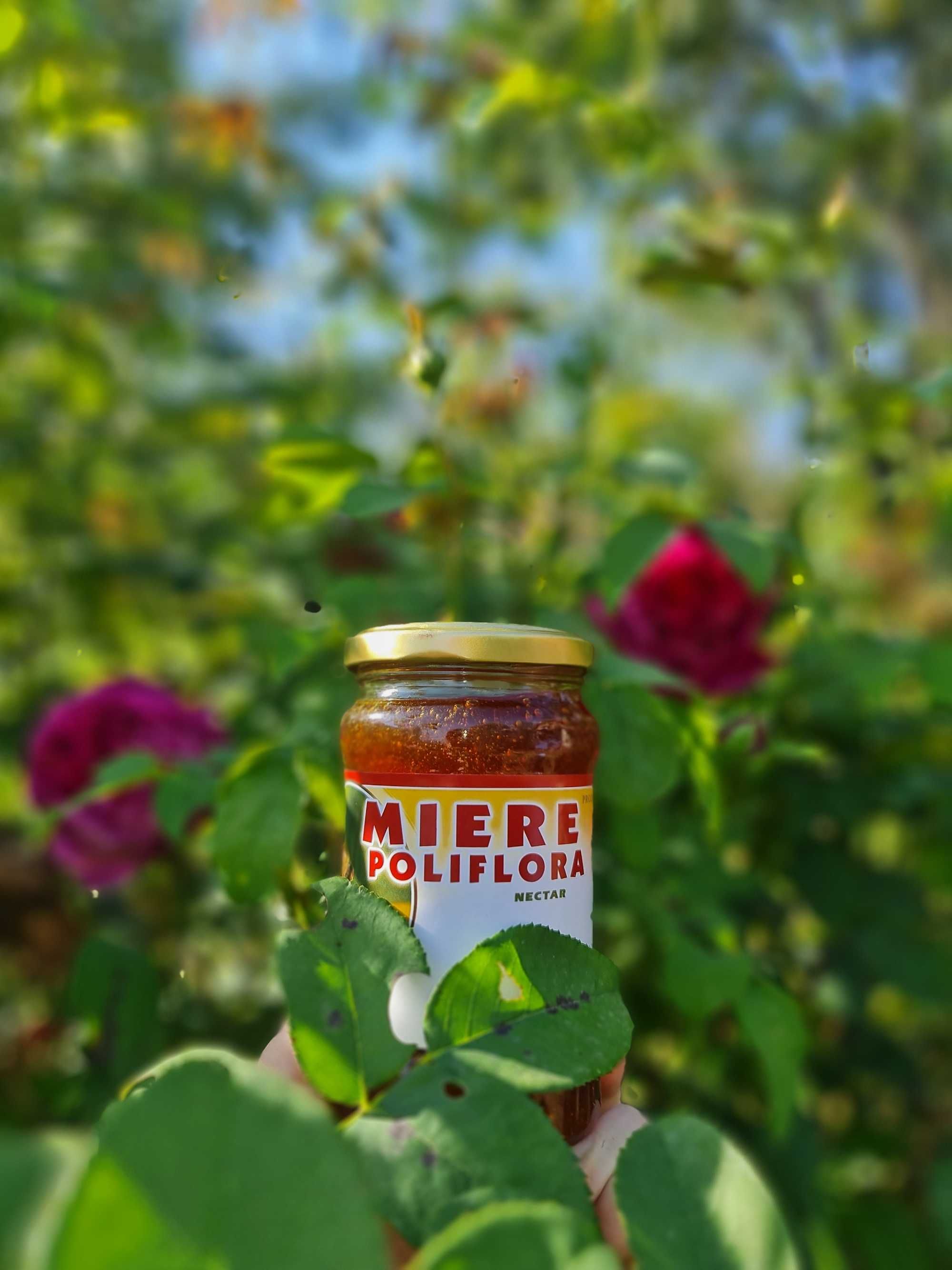 Miere Poliflora naturala