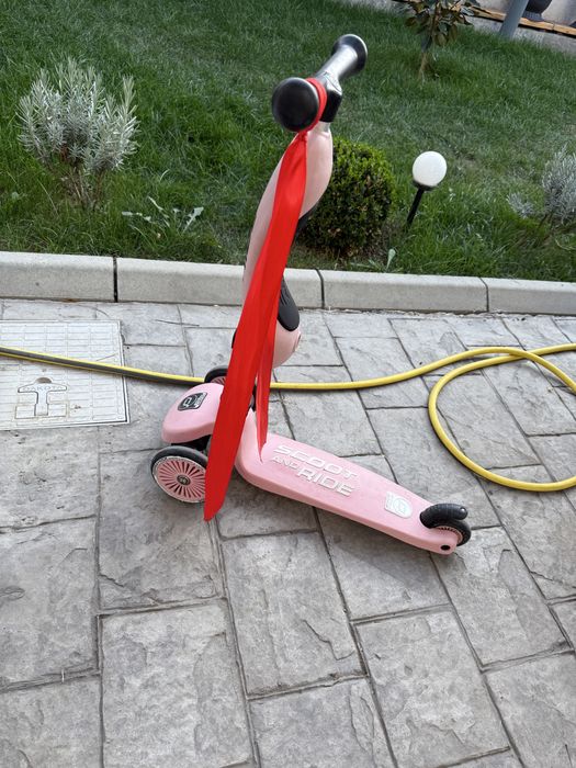 Trotineta Scoot and Ride 2in1 Roz