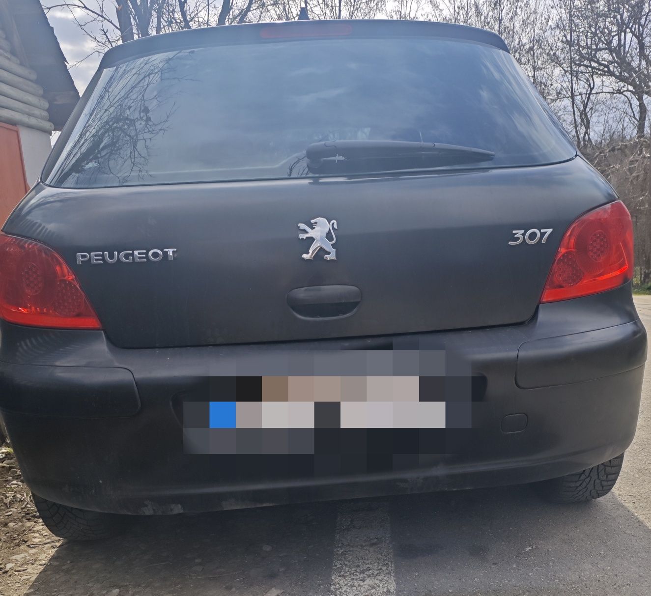 Peugeot 307 1.6 Benzina + GPL