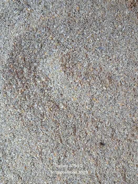 Cereale , amestec cereale ,furaj