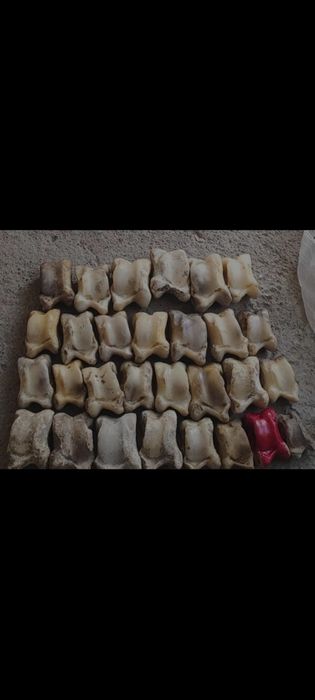 Асық Asik асык  асік