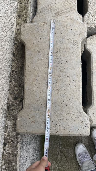 Rigola Carosabila armata