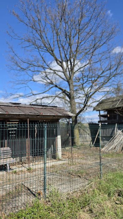 Vand casa plus teren