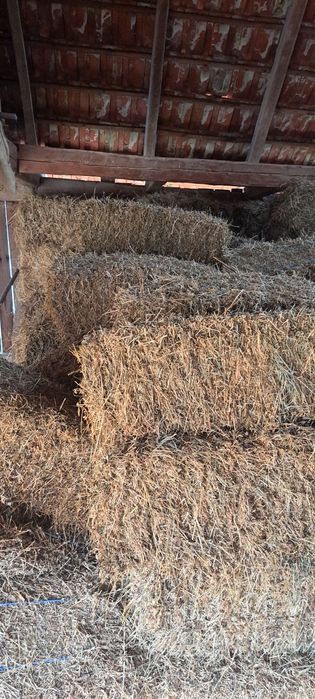 Baloti de lucerna+baloti de fan