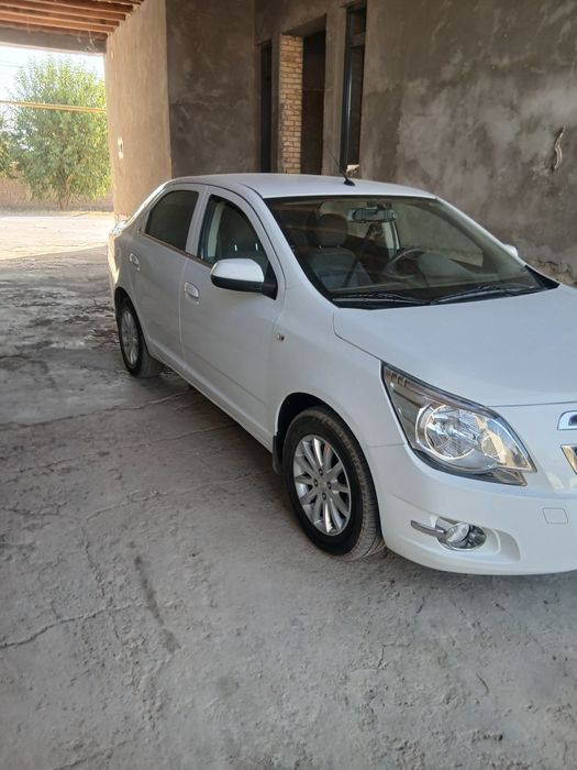 Kobalt pozitsiya-2